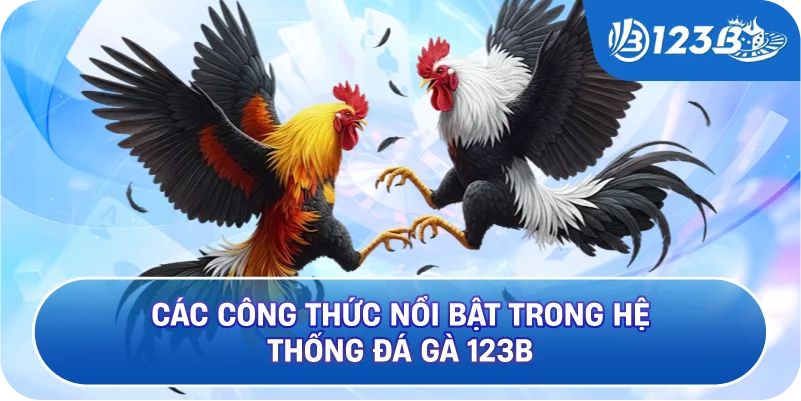 Các công thức nổi bật trong hệ thống Đá Gà 123B